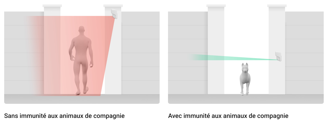 Ajax Détecteur Mouvement Extérieur - Curtain Outdoor