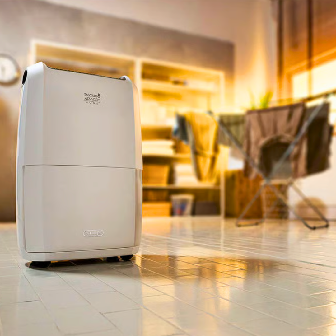 Déshumidificateur De'Longhi 490W DDSX225