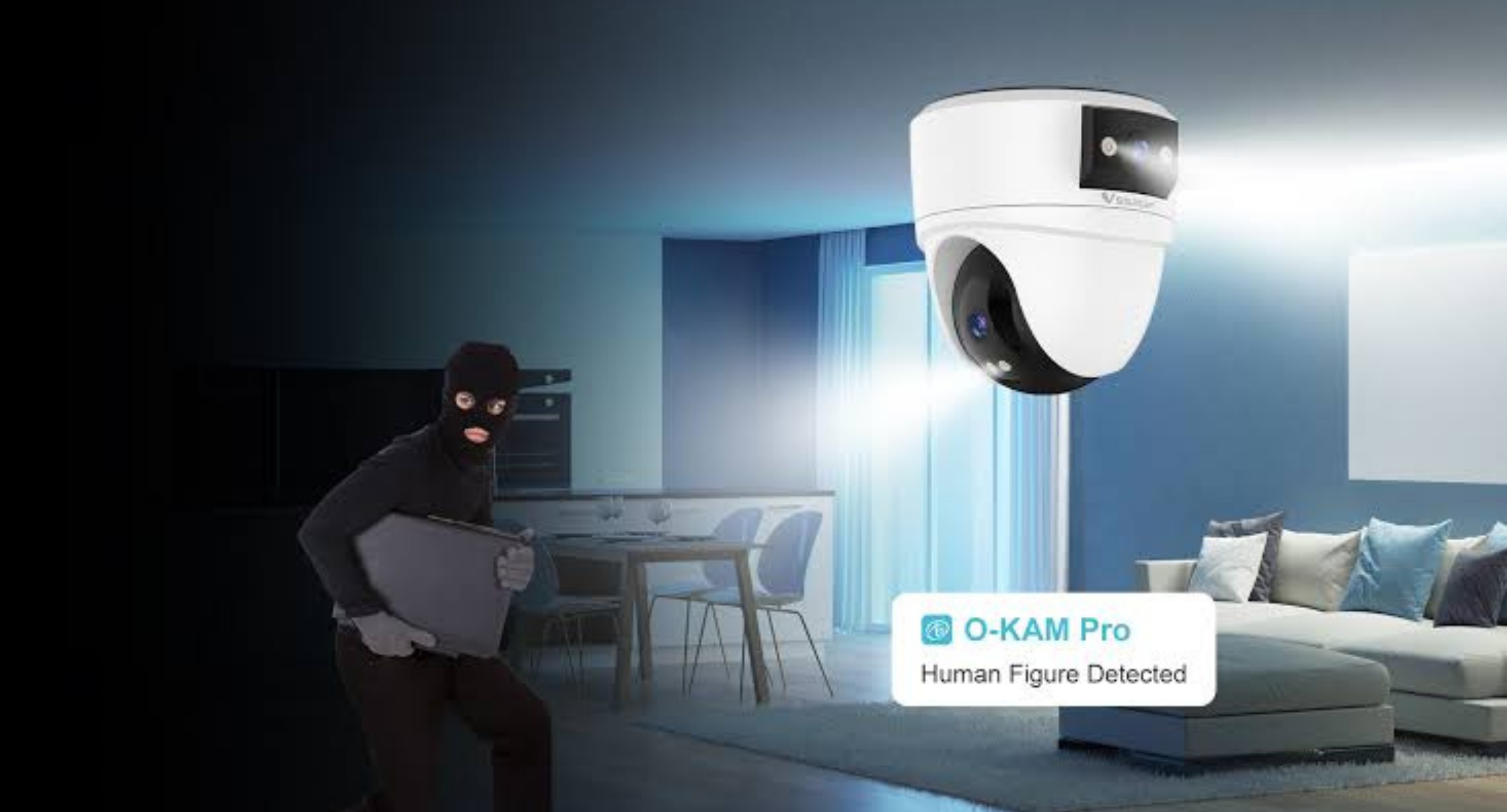 Caméra Double Intérieur WIFI 360° Dôme - CS2DR