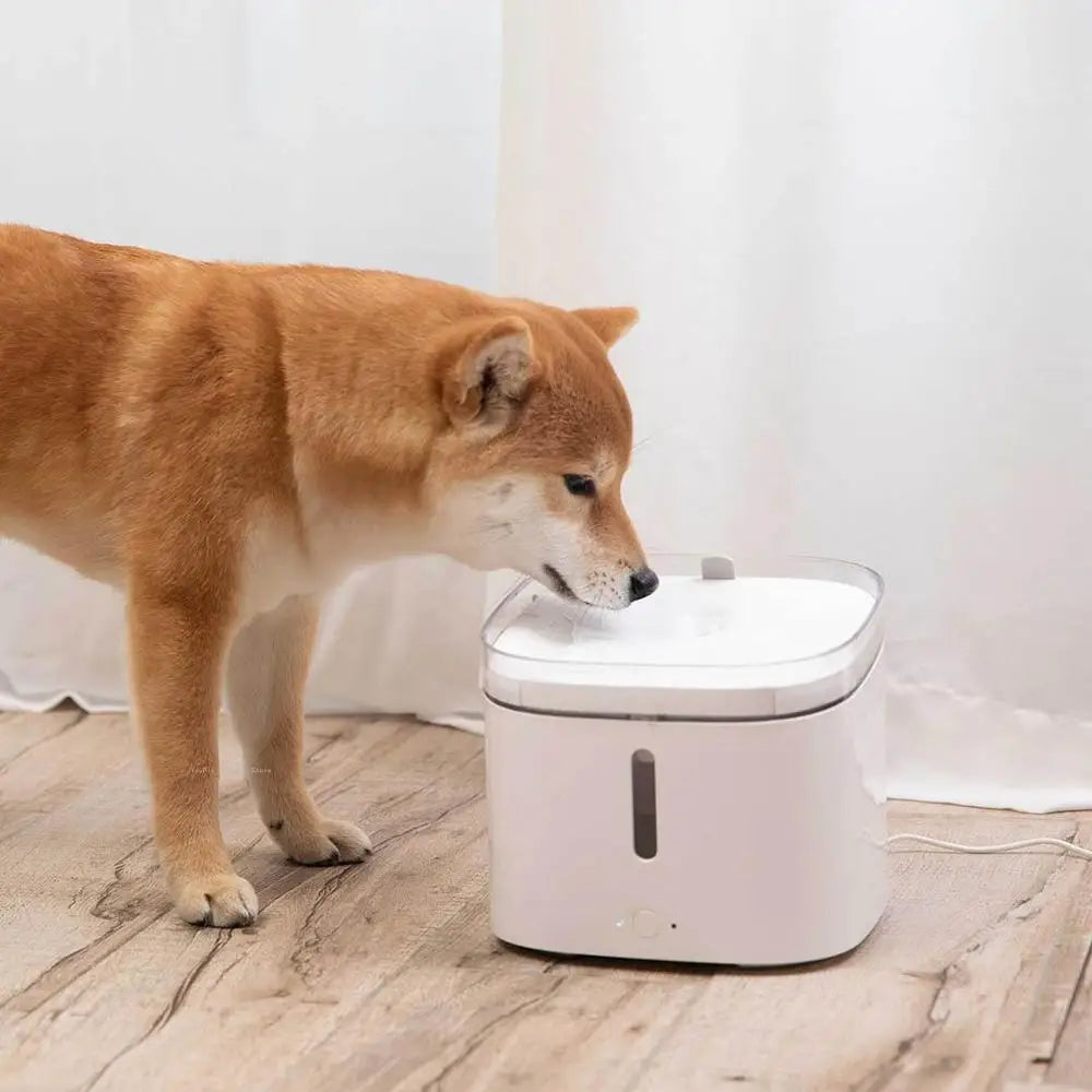 Fontaine à eau - Xiaomi Smart Pet Fountain