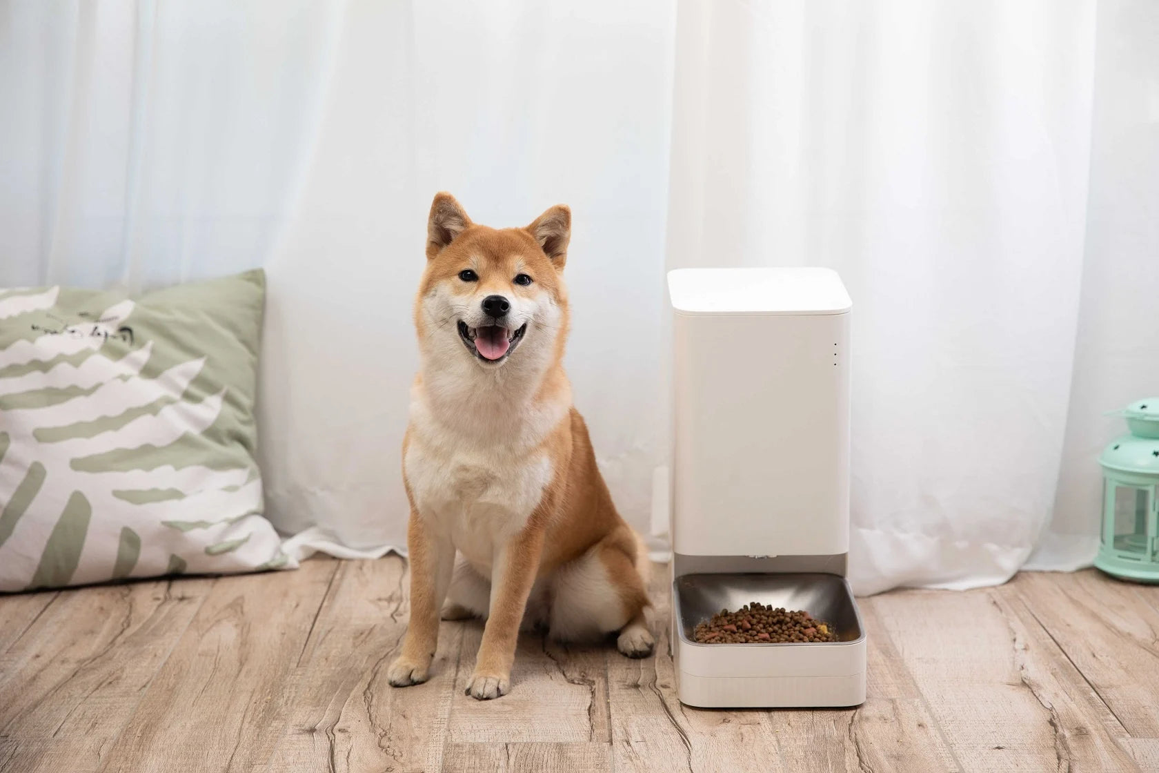 Distributeur de croquettes automatique Mi Smart Pet Food Feeder